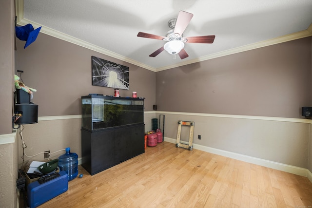 87 Balazs Rd, Willington, CT 06279 - photo 19