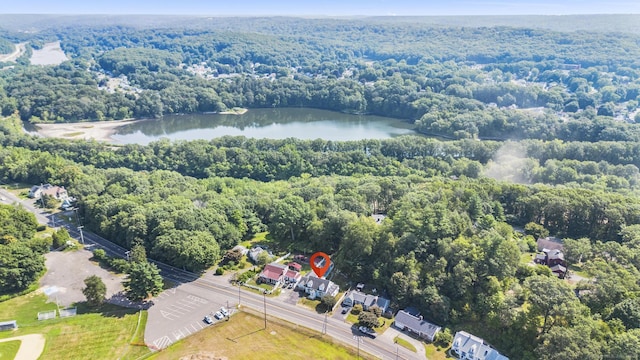 362 Wakelee Ave, Ansonia, CT 06401 - photo 4