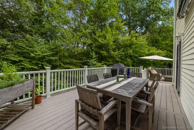 23 Mountainview Dr, Redding, CT 06896 - photo 19