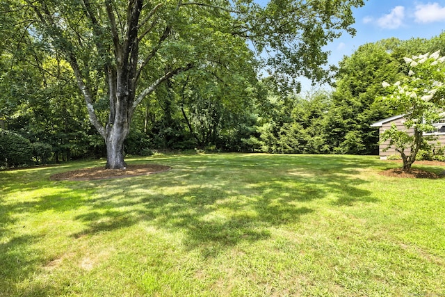 969 Jerome Ave, Bristol, CT 06010 - photo 26