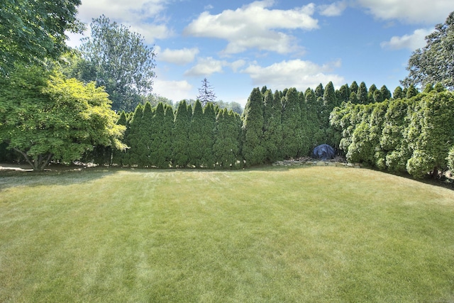6 Silent Grove Ct, Norwalk, CT 06851 - photo 30
