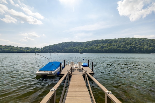 36 Waterview Dr, Danbury, CT 06811 - photo 33