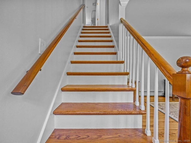 113 Scotland Rd, Madison, CT 06443 - photo 24