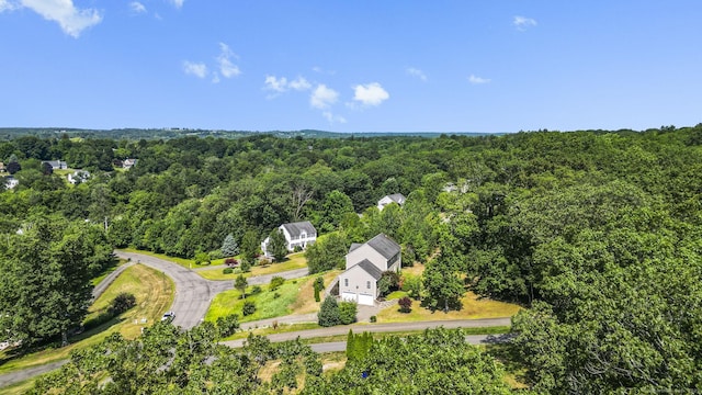 25 Marthas Way, Thomaston, CT 06787 - photo 34