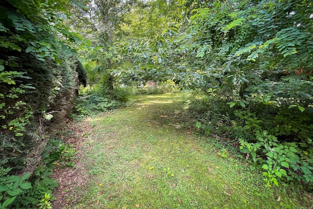 43 Woodland Dr, Durham, CT 06422 - photo 31