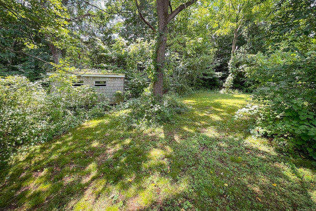 43 Woodland Dr, Durham, CT 06422 - photo 32