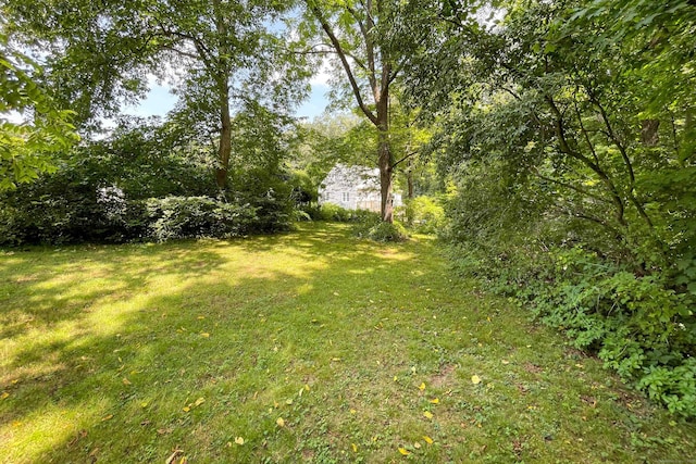 43 Woodland Dr, Durham, CT 06422 - photo 33