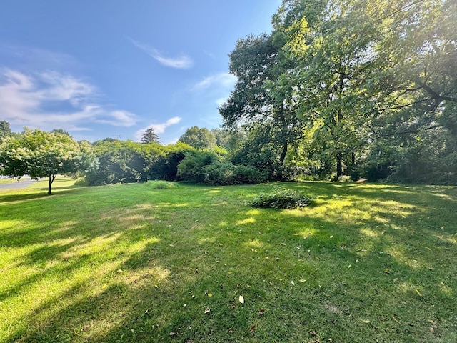 43 Woodland Dr, Durham, CT 06422 - photo 30