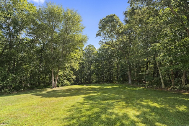 51 Rowland Rd, Old Lyme, CT 06371 - photo 35
