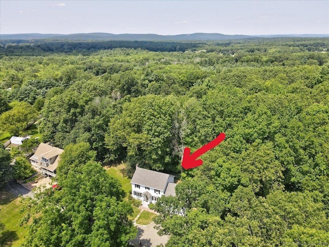 325A Scott Swamp Rd, Farmington, CT 06032 - photo 36