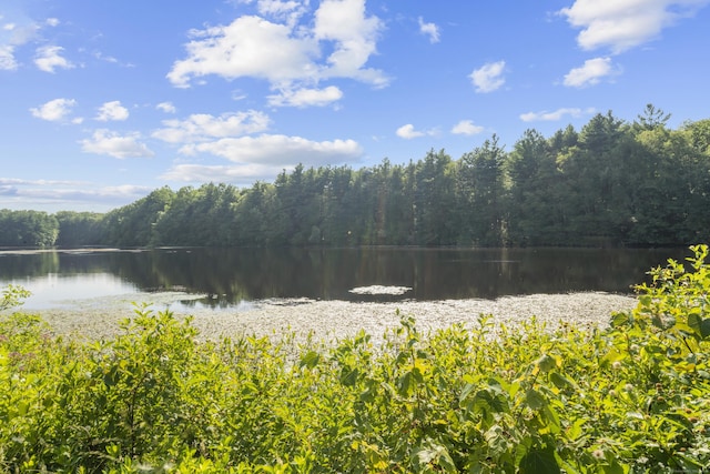 51 Greystone Unit 51, Shelton, CT 06484 - photo 39