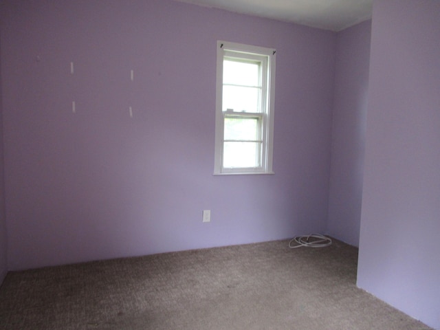 137 Marsh Way, Stratford, CT 06614 - photo 10