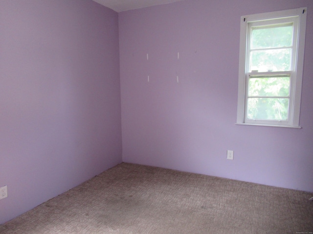 137 Marsh Way, Stratford, CT 06614 - photo 12