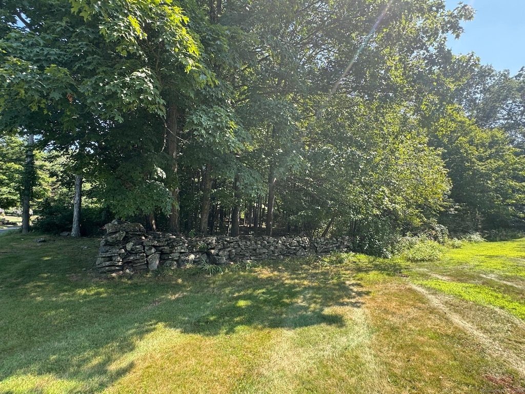 0 Patten Rd Unit Mblu38// 39.1//, Stafford, CT 06075 - photo 1