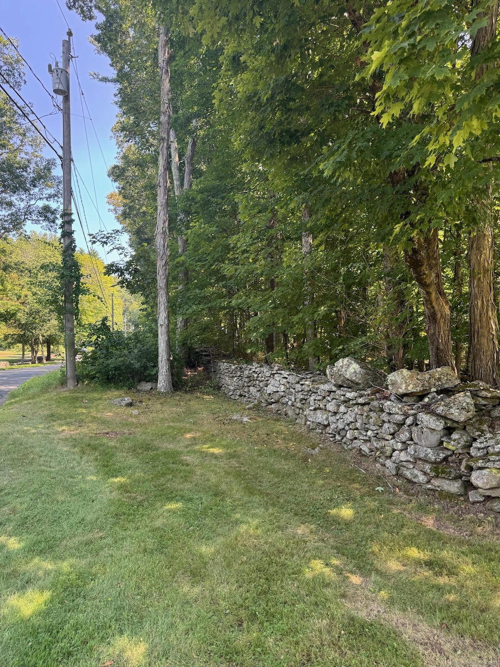 0 Patten Rd Unit Mblu38// 39.1//, Stafford, CT 06075 - photo 2