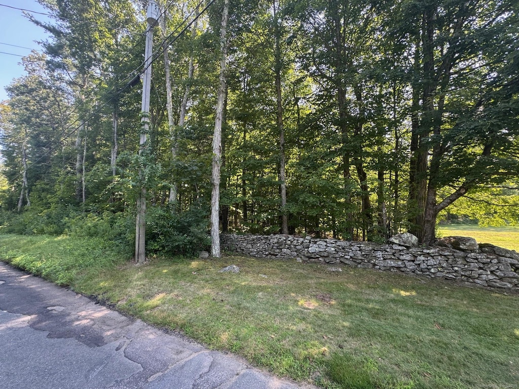0 Patten Rd Unit Mblu38// 39.1//, Stafford, CT 06075 - photo 3