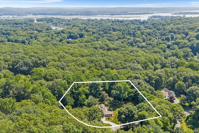 1 Primrose Ledge Ledge, Essex, CT 06426 - photo 34