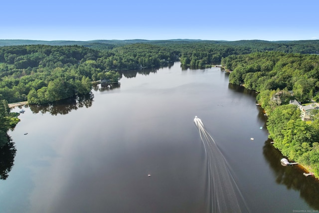 62 Crooked Trl, Woodstock, CT 06281 - photo 39