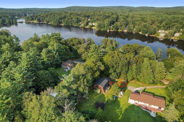 62 Crooked Trl, Woodstock, CT 06281 - photo 2