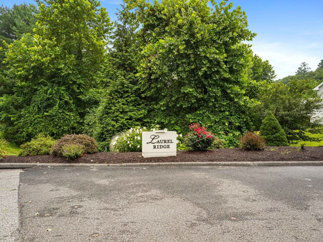 10 Fiddlehead Dr Unit 10, New Milford, CT 06776 - photo 22