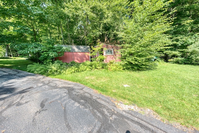 493 Storrs Rd, Mansfield, CT 06250 - photo 11