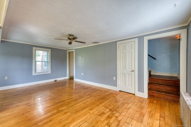 493 Storrs Rd, Mansfield, CT 06250 - photo 15