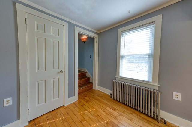 493 Storrs Rd, Mansfield, CT 06250 - photo 28