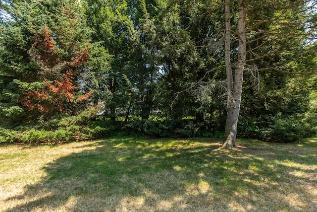 17 Saint Marc Cir Unit B, South Windsor, CT 06074 - photo 34