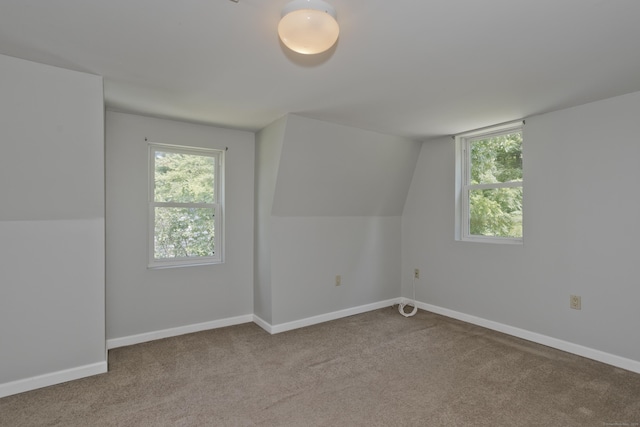 50 Cottage Rd, Enfield, CT 06082 - photo 29