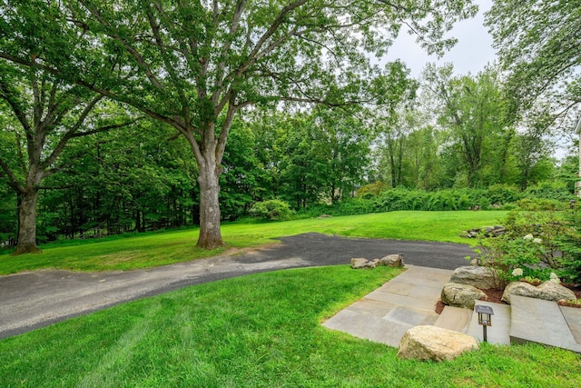 5 Gillotti Rd, New Fairfield, CT 06812 - photo 6