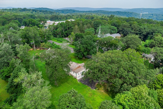 5 Gillotti Rd, New Fairfield, CT 06812 - photo 36