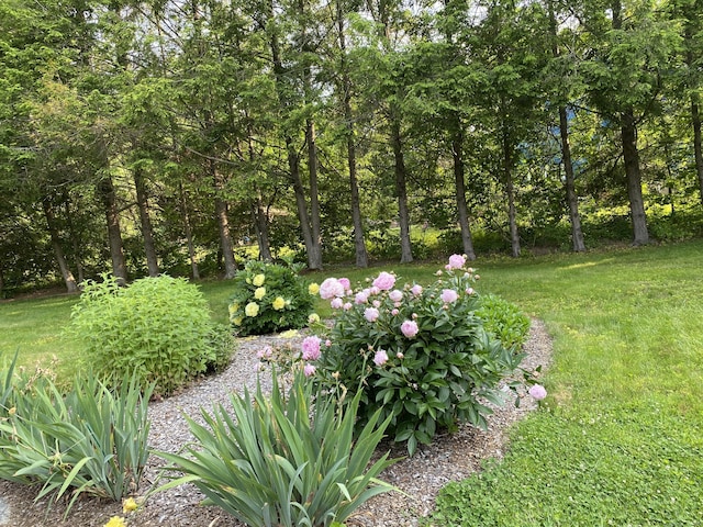 2 Brookwood Ct, Prospect, CT 06712 - photo 37