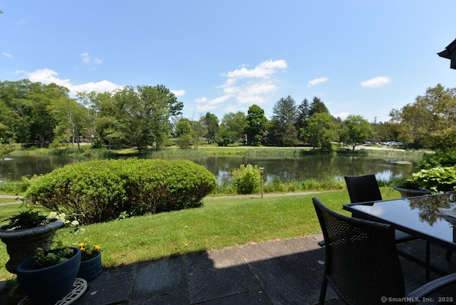 45 Heritage Vlg Unit A, Southbury, CT 06488 - photo 22