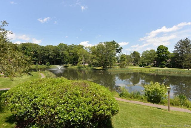 45 Heritage Vlg Unit A, Southbury, CT 06488 - photo 23