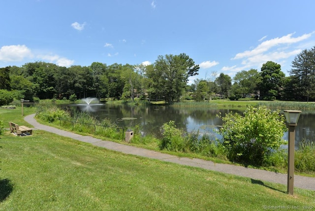 45 Heritage Vlg Unit A, Southbury, CT 06488 - photo 25