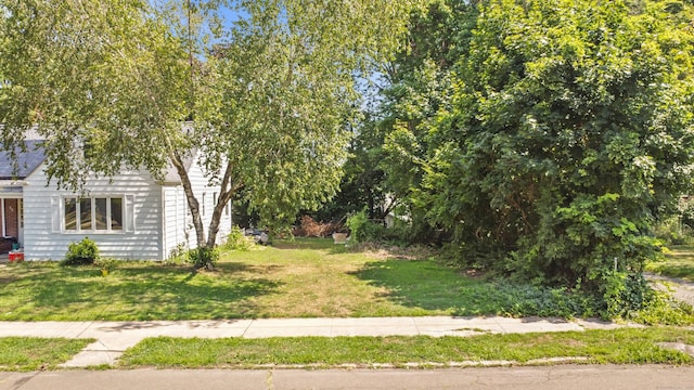 29 Highview Ave, West Haven, CT 06516 - photo 3