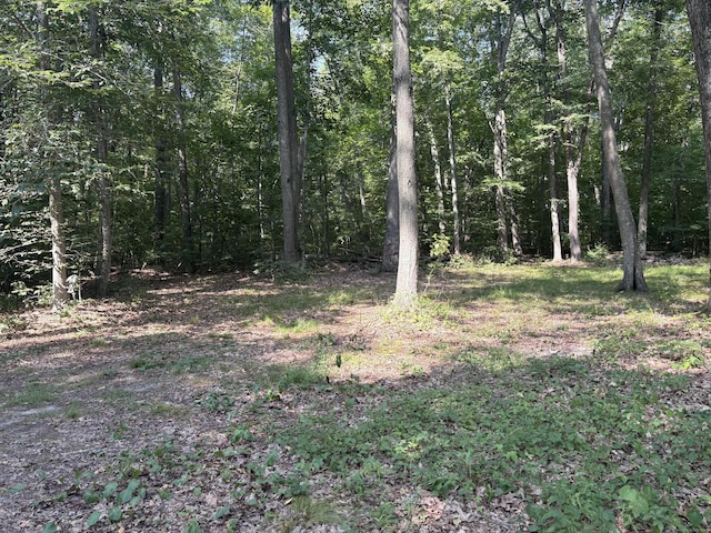 E Shore Dr, East Haddam, CT 06423 - photo 2