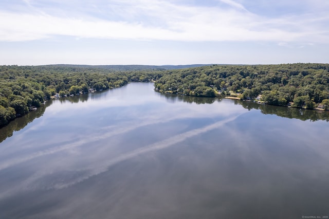 E Shore Dr, East Haddam, CT 06423 - photo 5