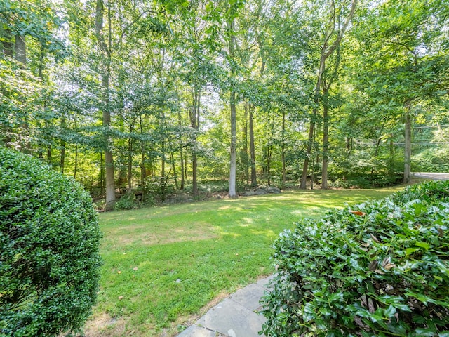 1 Greenlea Ln, Weston, CT 06883 - photo 29