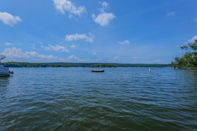 1 Day Point Rd Unit 16, East Hampton, CT 06424 - photo 33