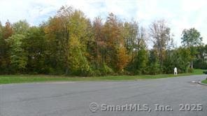 603 Hall Hill Rd, Somers, CT 06071 - photo 2