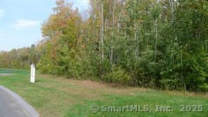 603 Hall Hill Rd, Somers, CT 06071 - photo 3