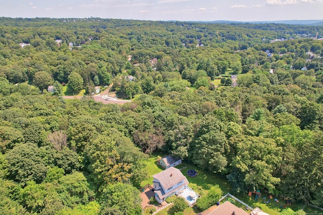 52 Chestnut Grove Rd, Watertown, CT 06795 - photo 2