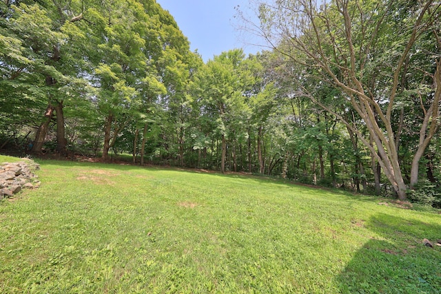 52 Chestnut Grove Rd, Watertown, CT 06795 - photo 32