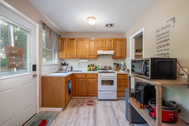 24 Woodward Ave Apt 45, New Haven, CT 06512 - photo 7