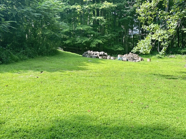 16 Plank Rd, Prospect, CT 06712 - photo 37