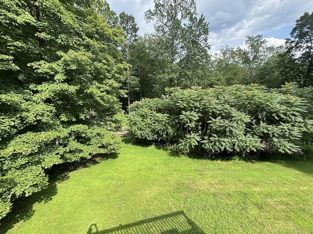 16 Plank Rd, Prospect, CT 06712 - photo 40