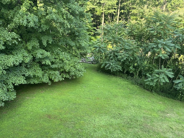 16 Plank Rd, Prospect, CT 06712 - photo 35