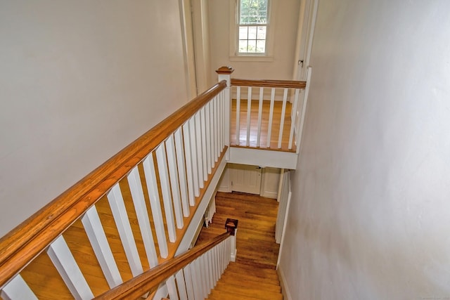 408 Maple Rd, Longmeadow, MA 01106 - photo 16