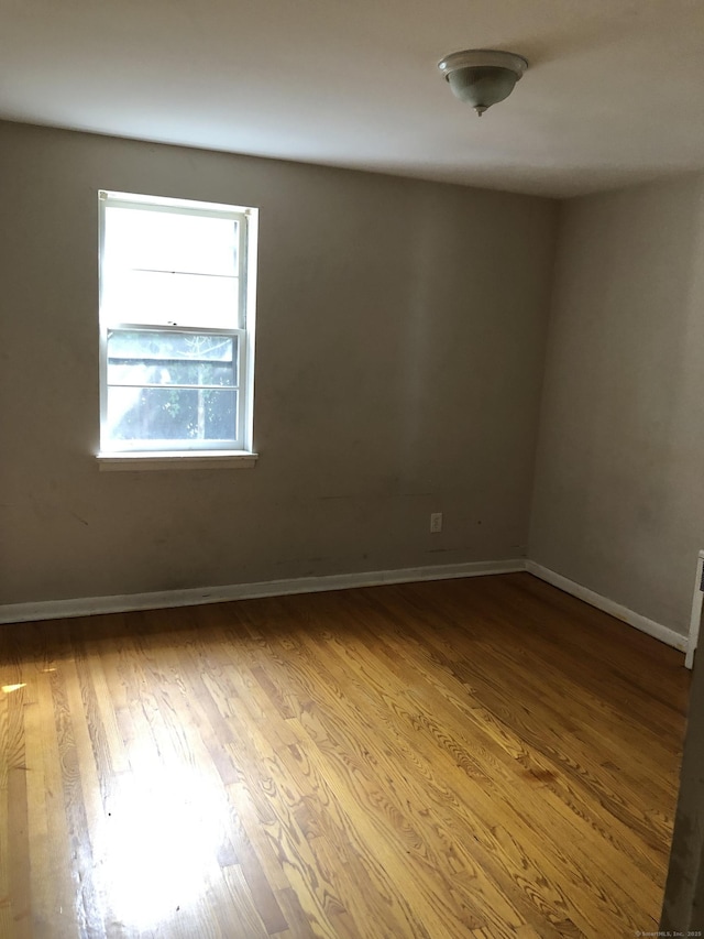 442 Wells St, Bridgeport, CT 06606 - photo 8